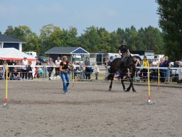 DSC_9444_web
